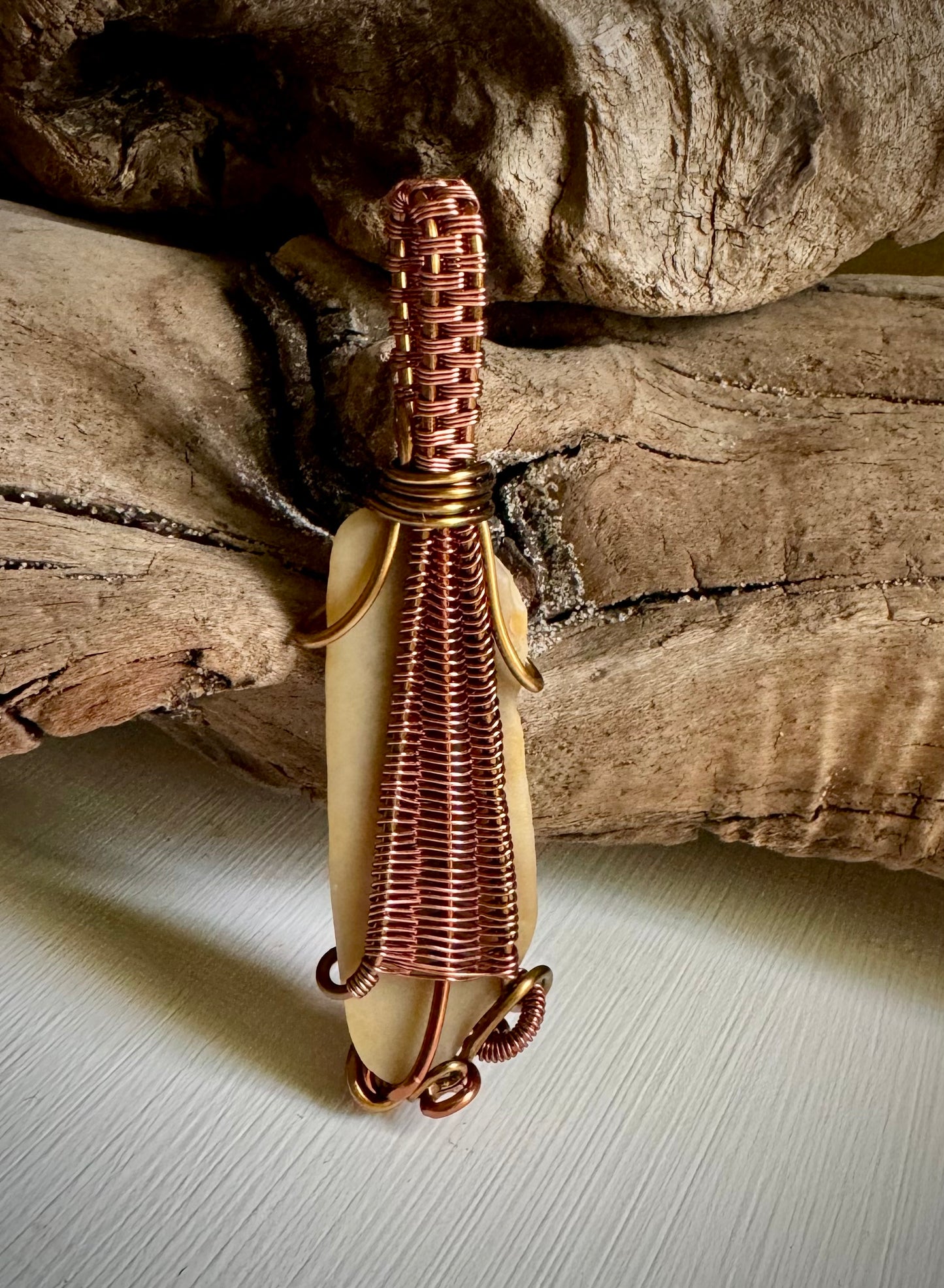 Shell Wire Wrapped Pendant with Copper and Antique Bronze