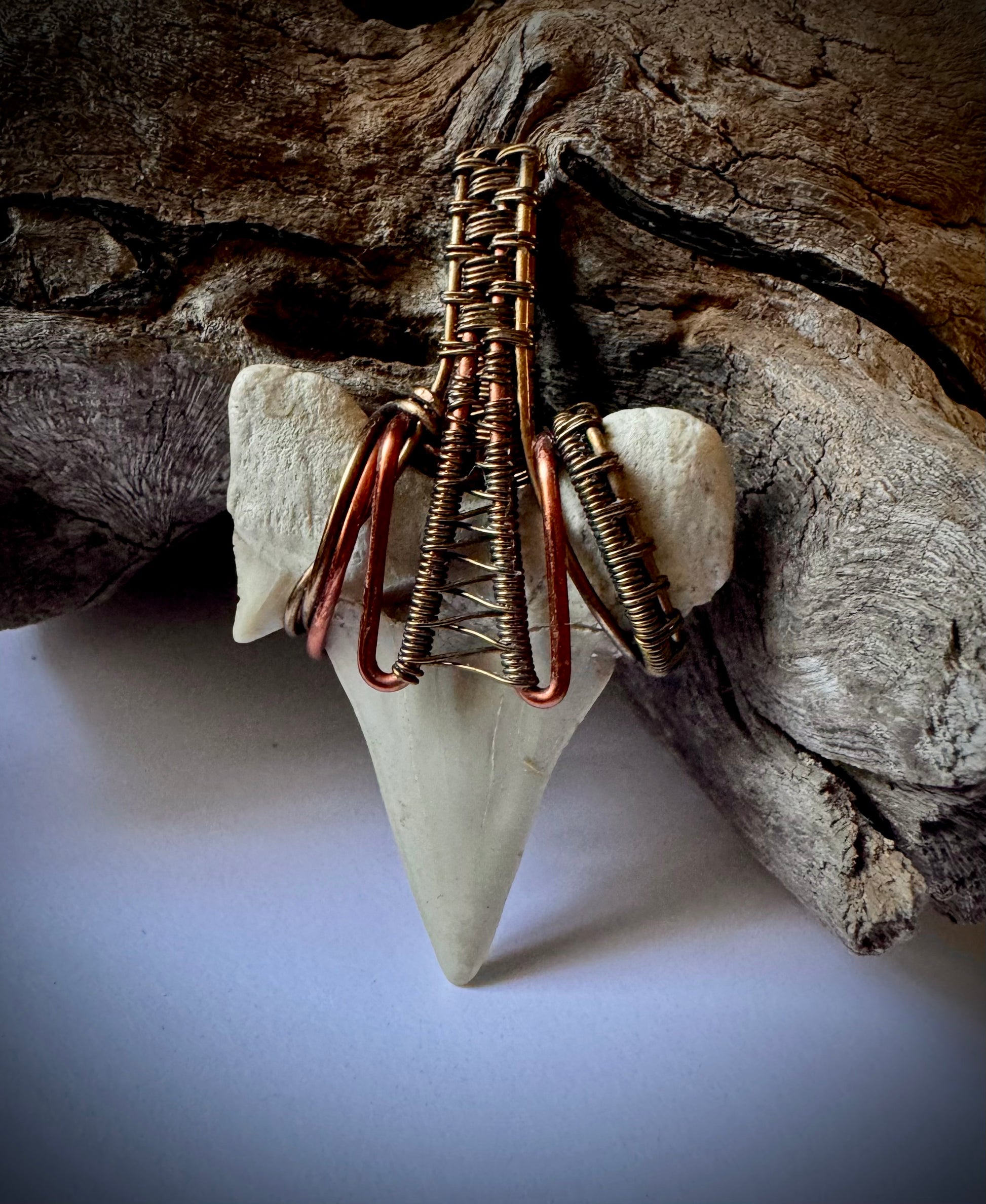 Shark Tooth, Copper, and Antique Bronze Pendant - R.Kaelber Art