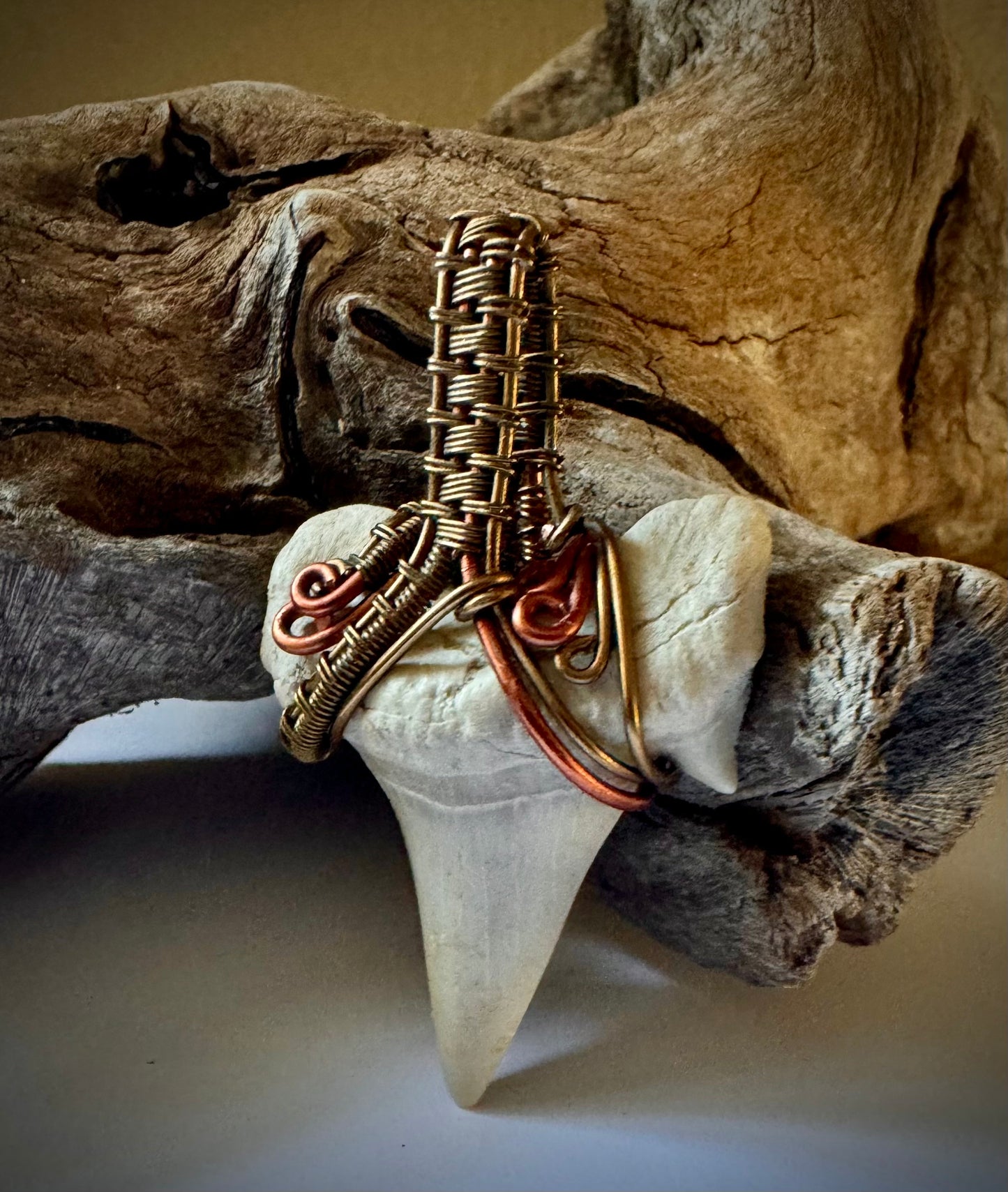 Shark Tooth, Copper, and Antique Bronze Pendant