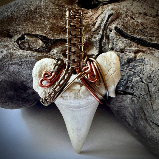 Shark Tooth, Copper and Antique Bronze Pendant