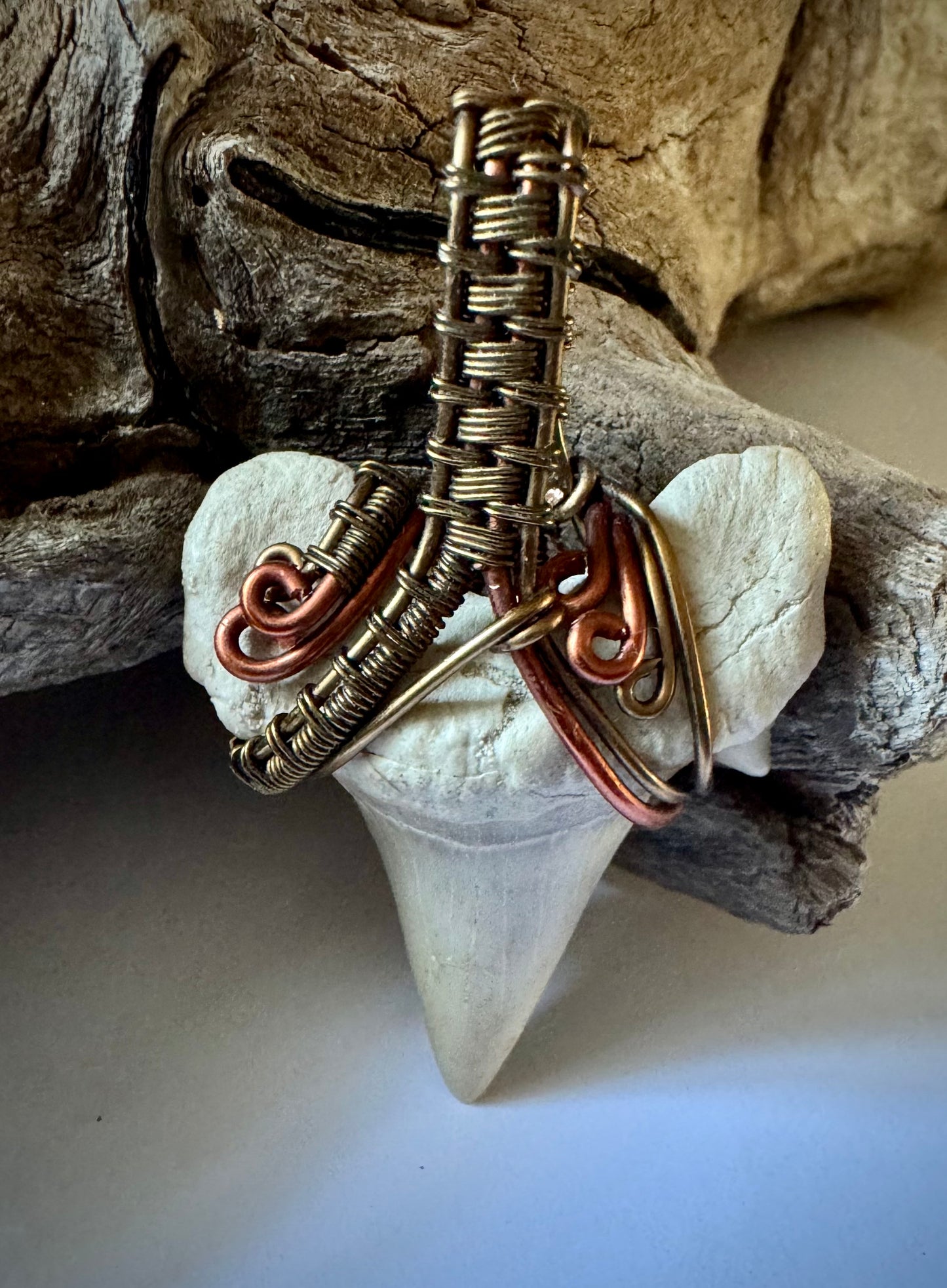 Shark Tooth, Copper, and Antique Bronze Pendant