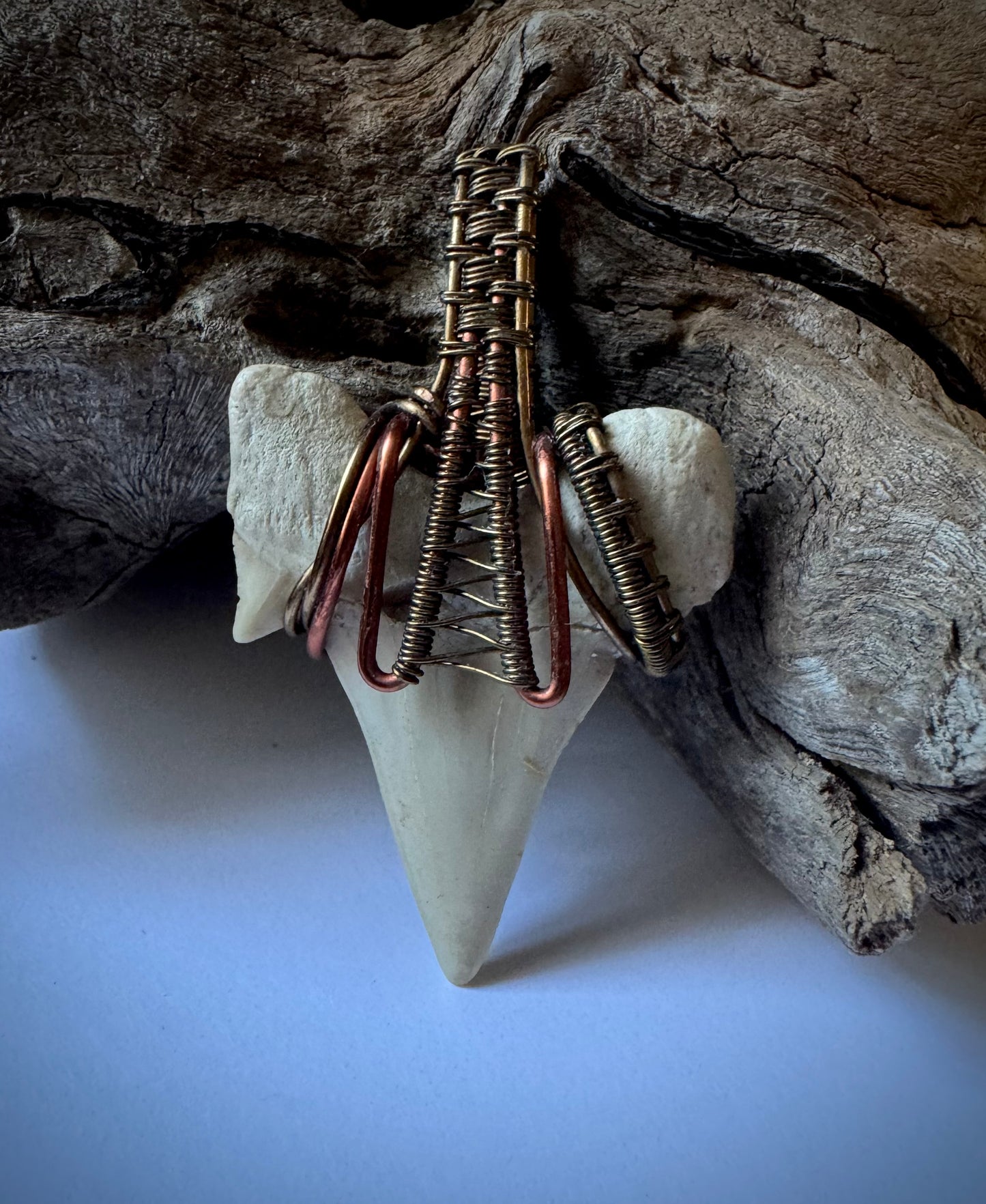 Shark Tooth, Copper, and Antique Bronze Pendant