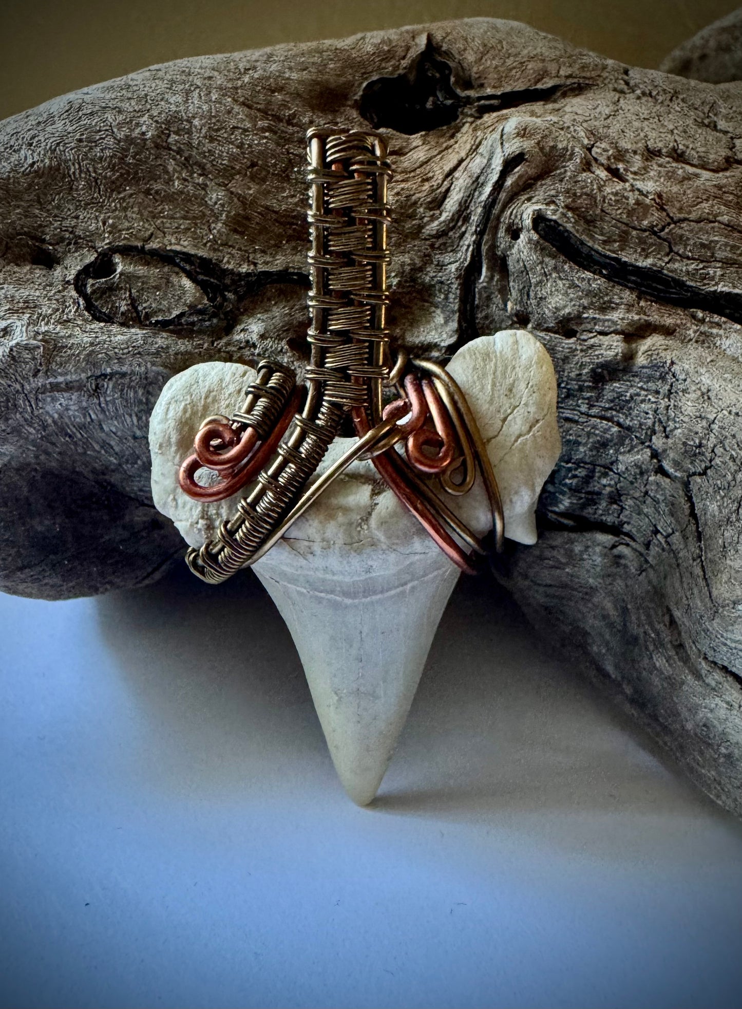 Shark Tooth, Copper, and Antique Bronze Pendant