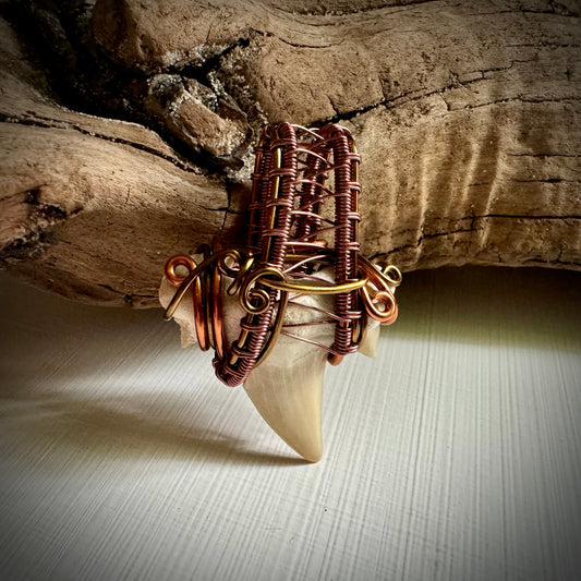 Shark Tooth Pendant - R.Kaelber Art