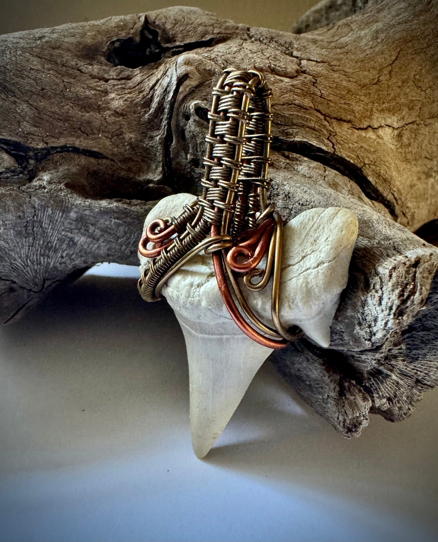 Shark Tooth, Copper, and Antique Bronze Pendant