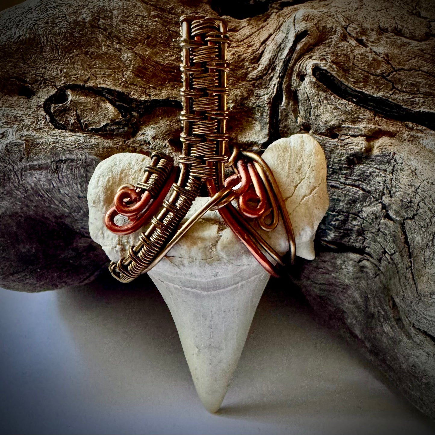 Shark Tooth, Copper, and Antique Bronze Pendant