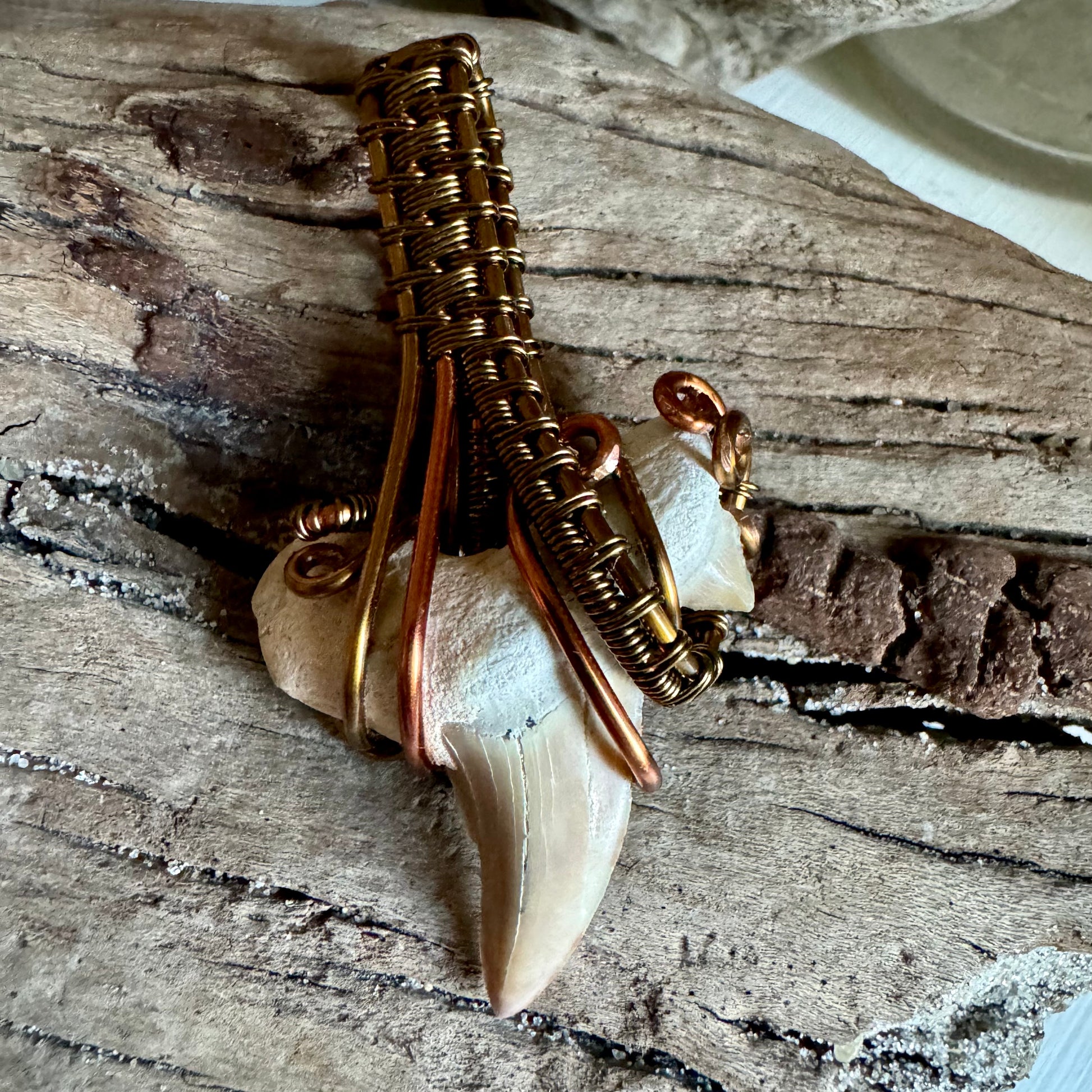 Shark Tooth, Copper, and Antique Bronze Pendant - R.Kaelber Art