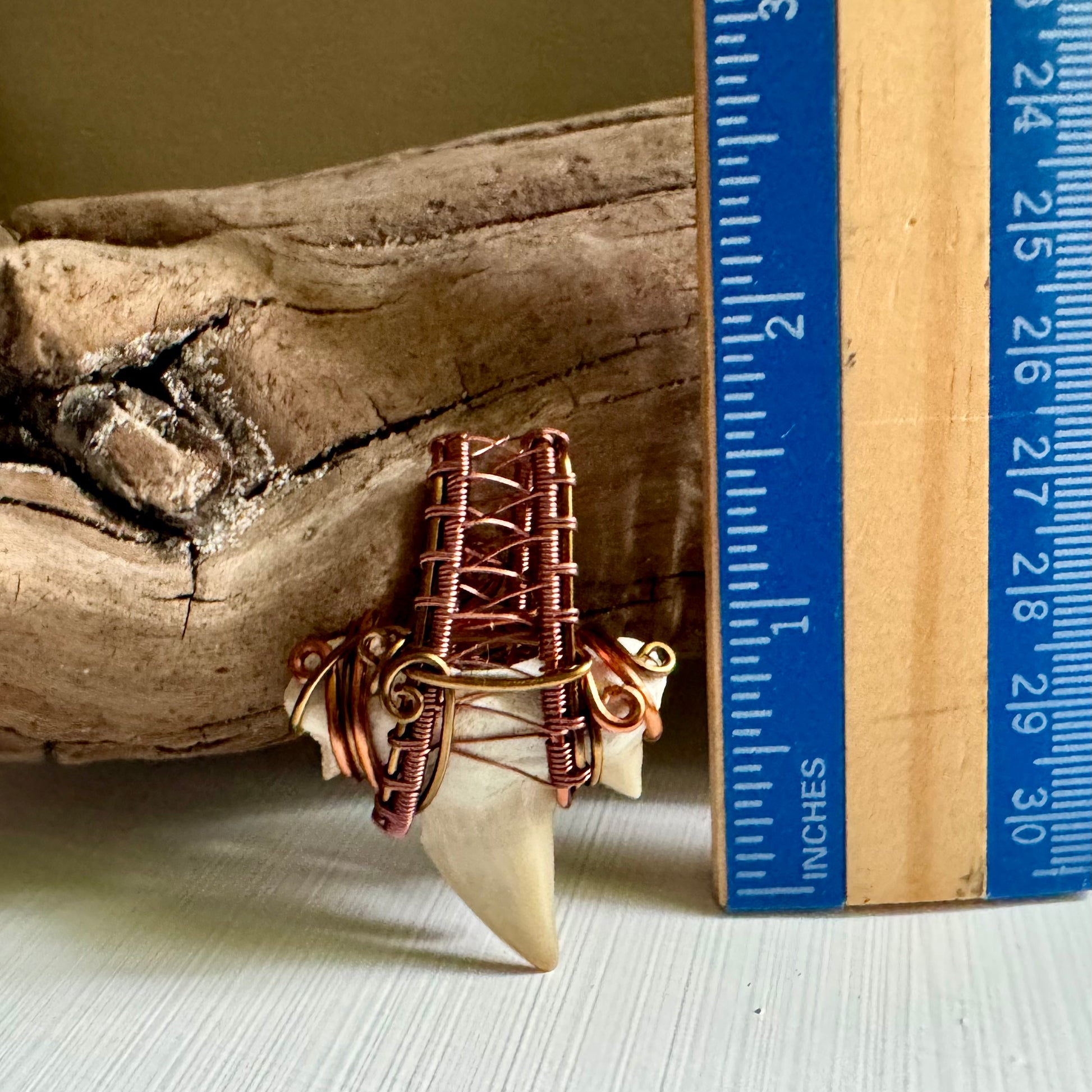 Shark Tooth Pendant - R.Kaelber Art